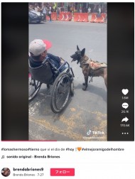【海外発！Breaking News】再生回数3000万回越え、飼い主の車椅子を後ろから押してサポートする犬に称賛の声（メキシコ）＜動画あり＞