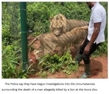 【海外発！Breaking News】子ライオンを盗むためか？　動物園の柵を越え侵入した男性、ライオンに襲われ死亡（ガーナ）