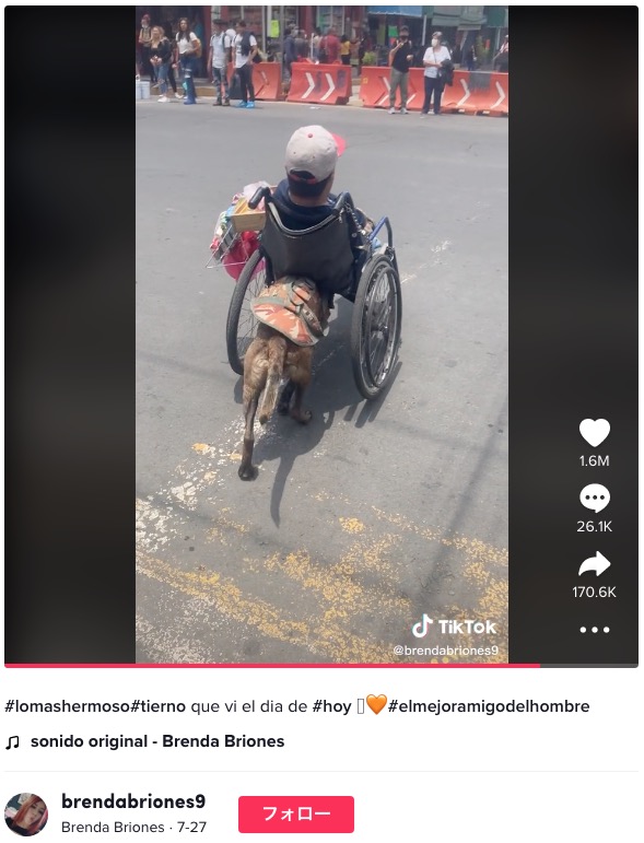 飼い主の車椅子を押して交差点を渡る犬（画像は『Brenda Briones　2022年7月27日付TikTok「＃lomashermoso＃tierno」』のスクリーンショット）