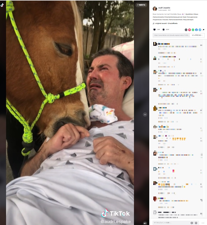 セラピー馬と初めて会った男性（画像は『audri.espake　2022年8月8日付TikTok「Que momento incrível!」』のスクリーンショット）