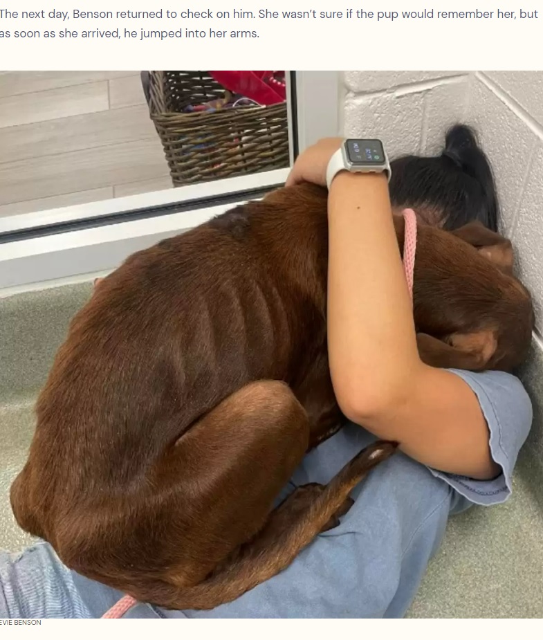 救助してくれた女性にハグする犬（画像は『The Dodo　2022年8月11日付「Dog Stranded On Highway Gives Rescuer Biggest Hug After She Saves Him」（EVIE BENSON）』のスクリーンショット）