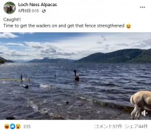 【海外発！Breaking News】ネス湖の“ネッシー”ついに現る!?　水面から出てきた正体に大笑い（スコットランド）＜動画あり＞