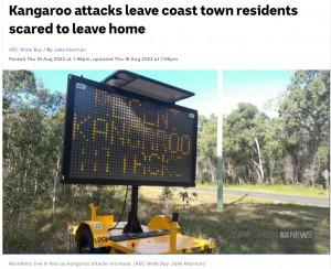 カンガルーに襲われるケースが増え、注意喚起の看板が設置（画像は『ABC　2022年8月19日付「Kangaroo attacks leave coast town residents scared to leave home」（ABC Wide Bay: Jake Kearnan）』のスクリーンショット）