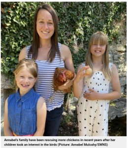 まん丸な卵を見つけたアナベルさんと子どもたち（画像は『Metro　2022年8月9日付「Rescue chicken lays perfectly spherical egg which could sell online for ￡500」（Picture: Annabel Mulcahy/SWNS）』のスクリーンショット）