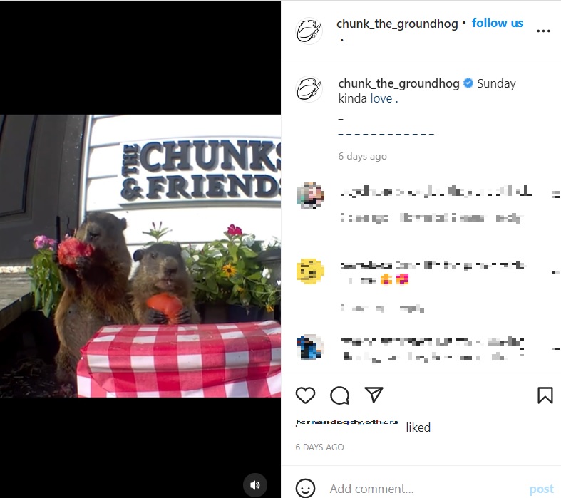 机も設置しサポート（画像は『Chunk The Groundhog　2022年8月1日付Instagram「Sunday kinda love.」』のスクリーンショット）