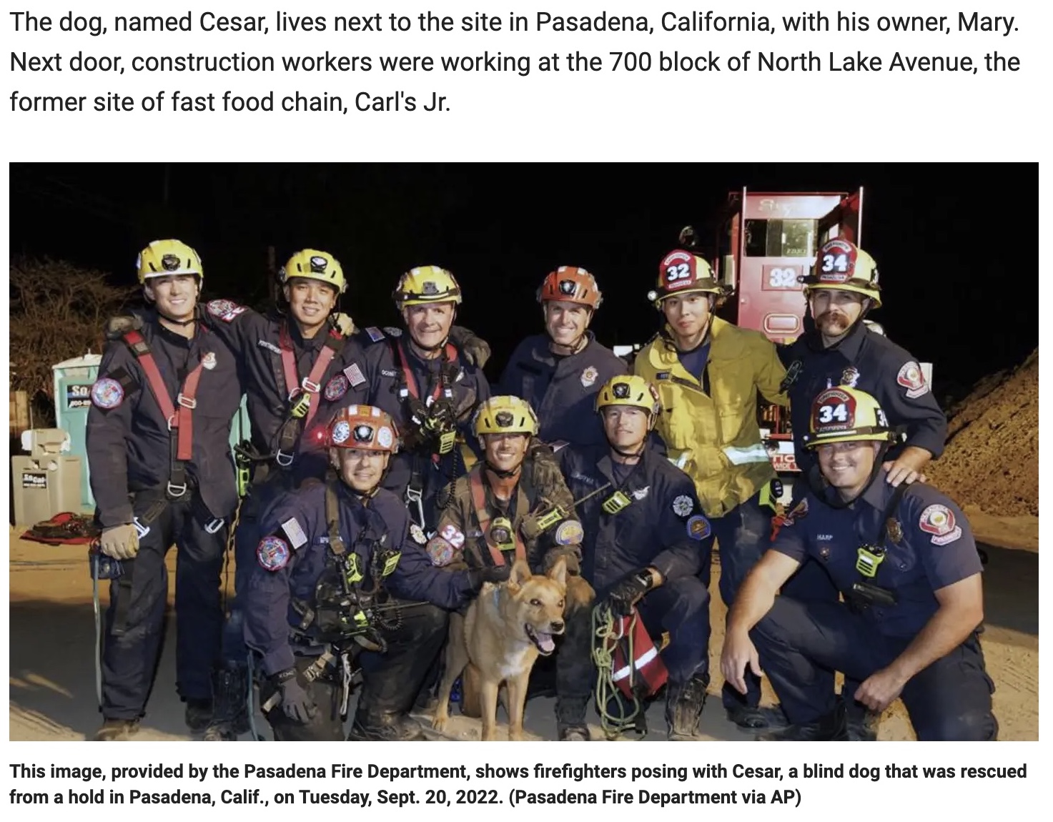 救出した犬を囲む消防隊員（画像は『Fox News　2022年9月21日付「California firefighters rescue blind dog that fell inside 15-foot hole at construction site」（Pasadena Fire Department via AP）』のスクリーンショット）