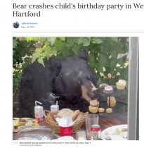 【海外発！Breaking News】野生のクマが2歳児の誕生日パーティーに侵入、カップケーキを食べ尽くす（米）＜動画あり＞