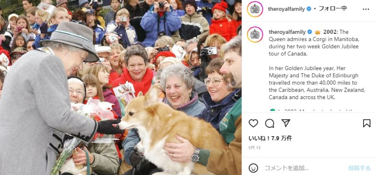 大好きなコーギーを見つめるエリザベス女王（画像は『The Royal Family　2022年5月13日付Instagram「2002: The Queen admires a Corgi in Manitoba,」』のスクリーンショット）