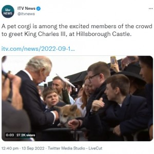 群衆の中にいたコーギー犬を撫でるチャールズ国王（画像は『ITV News　2022年9月13日付Twitter「A pet corgi is among the excited members of the crowd to greet King Charles III, at Hillsborough Castle.」』のスクリーンショット）