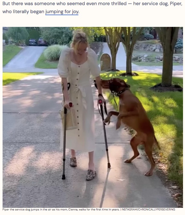 飼い主の歩く姿に大喜びの介助犬（画像は『The Dodo　2022年9月8日付「Service Dog Jumps For Joy When He Sees Mom Finally Walk Again」（IMAGE:INSTAGRAM/CHRONICALLYPERSEVERING）』のスクリーンショット）
