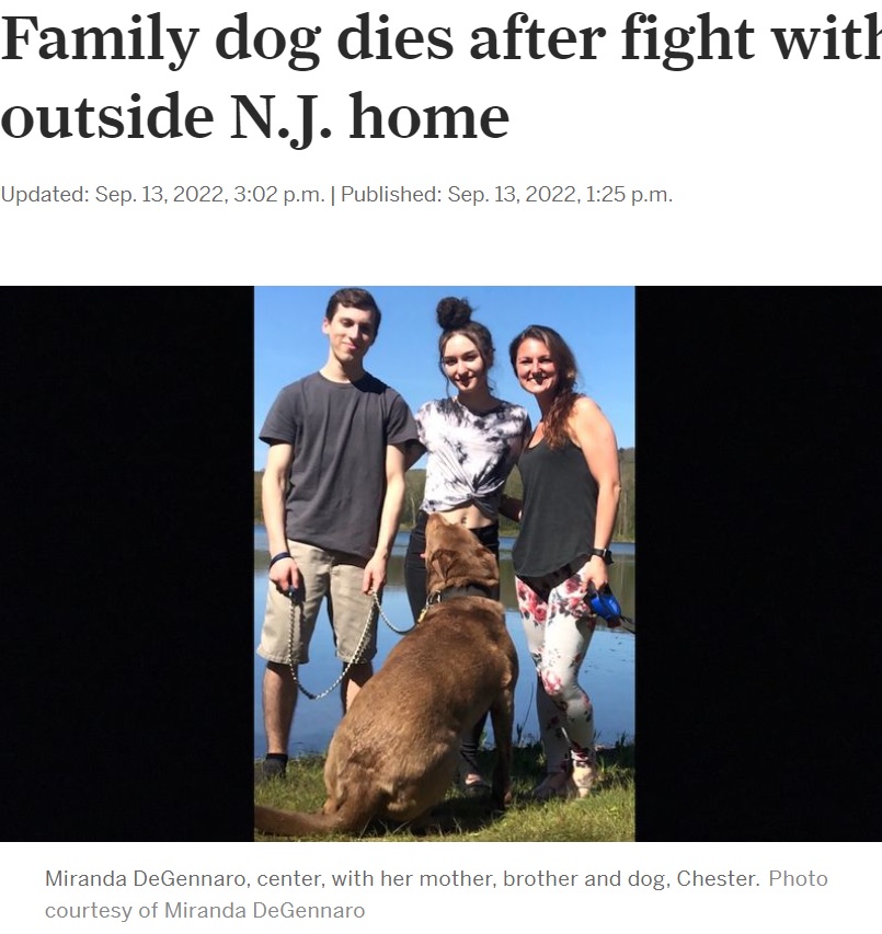 ミランダさん（中央）家族とチェスター（画像は『NJ.com　2022年9月13日付「Family dog dies after fight with porcupine outside N.J. home」（Photo courtesy of Miranda DeGennaro）』のスクリーンショット）