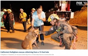 飼い主と無事に再会したセザール（画像は『Fox News　2022年9月21日付「California firefighters rescue blind dog that fell inside 15-foot hole at construction site」』のスクリーンショット）