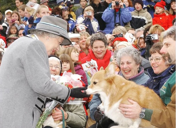 2002年「ゴールデン・ジュビリー」カナダツアーで、ファンのコーギー犬を撫でる女王（画像は『The Royal Family　2022年5月13日付Instagram「2002: The Queen admires a Corgi in Manitoba, during her two week Golden Jubilee tour of Canada.」』のスクリーンショット）