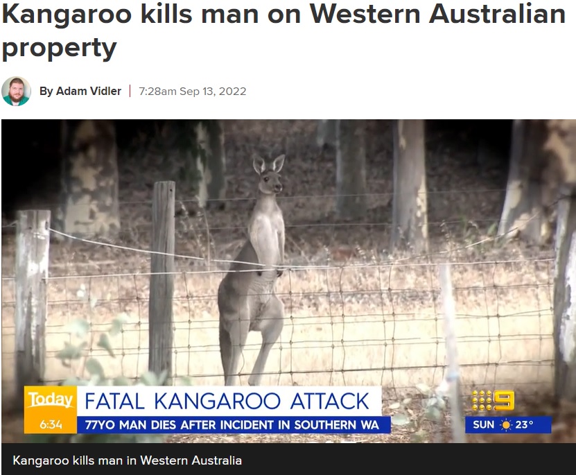 オーストラリアで86年ぶりのカンガルーによる死亡事故（画像は『9News　2022年9月13日付「Kangaroo kills man on Western Australian property」（9News）』のスクリーンショット）