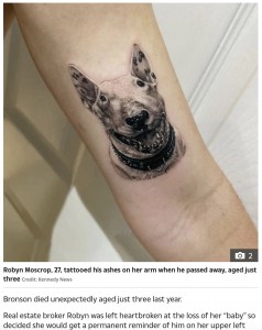 ブロンソンのタトゥーを左腕に入れたロビンさん（画像は『The Sun　2022年9月25日付「BOW-WOW OW! Devastated owner inks her dead dog’s ashes on her arm」（Credit: Kennedy News）』のスクリーンショット）