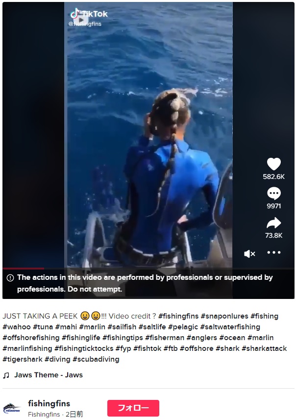海に飛び込む直前だった女性（画像は『Fishingfins　2022年10月26日付TikTok「JUST TAKING A PEEK」』のスクリーンショット）