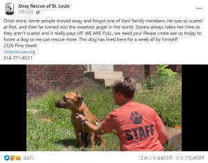 前の家を去る時、名残惜しそうにしていたフロン（画像は『Stray Rescue of St. Louis　2022年7月12日付Facebook「Once more, some people moved away and forgot one of their family members.」』のスクリーンショット）