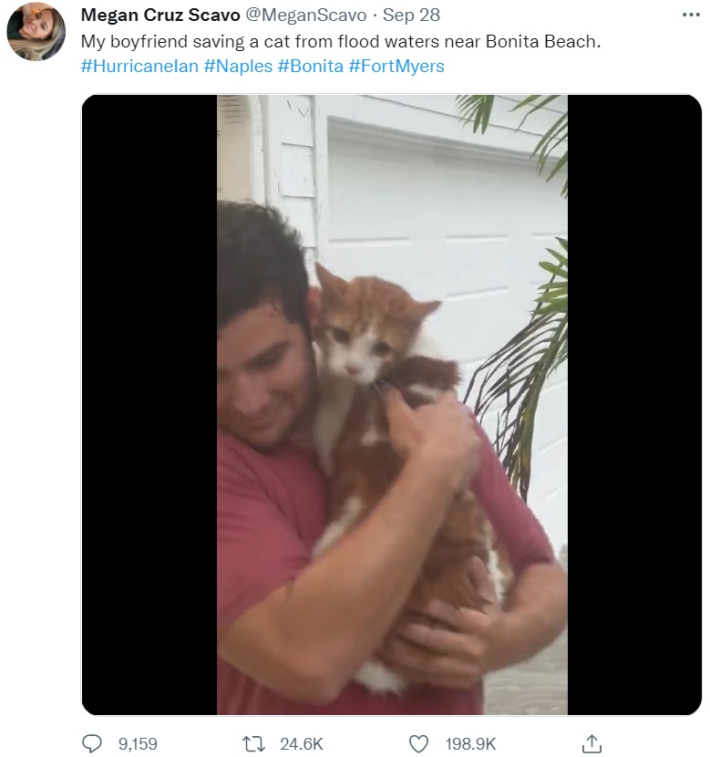 男性の胸にしがみ付く救出された猫（画像は『Megan Cruz Scavo　2022年9月28日付Twitter「My boyfriend saving a cat from flood waters near Bonita Beach.」』のスクリーンショット）