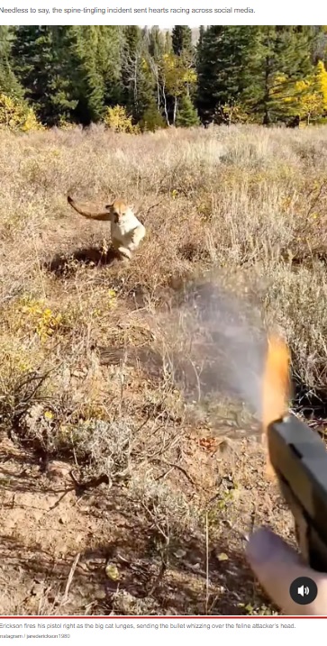 ジャレドさんに飛び掛かろうとするピューマ（画像は『New York Post　2022年10月13日付「Frightening footage shows moment quick-thinking hunter fires pistol at pouncing cougar」（Instagram / jarederickson1980）』のスクリーンショット）