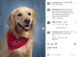 【海外発！Breaking News】笑顔で中学校のアルバムに載った犬　生徒たちを癒す“ファシリティドッグ”として大活躍（米）＜動画あり＞