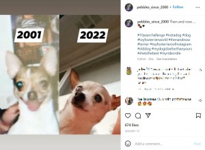 1歳当時と22歳の頃のペブルス（画像は『REMEMBERING PEBBLES　2022年1月19日付Instagram「Then and now …」』のスクリーンショット）