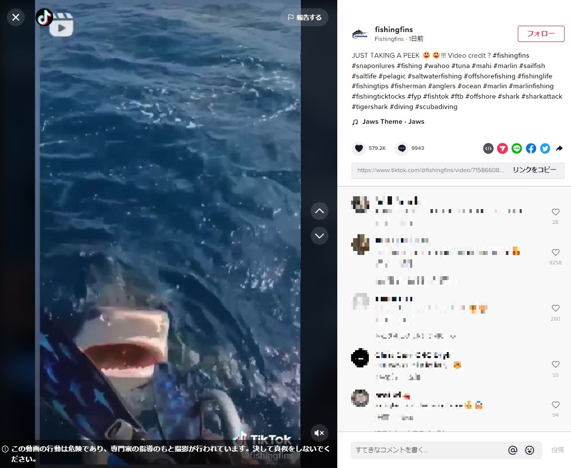 女性が着水した足の位置に口を開けて急浮上してきたサメ（画像は『Fishingfins　2022年10月26日付TikTok「JUST TAKING A PEEK」』のスクリーンショット）
