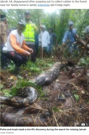 【海外発！Breaking News】54歳女性を丸飲みした体長6.7mのニシキヘビ発見、衣服もそのまま（インドネシア）