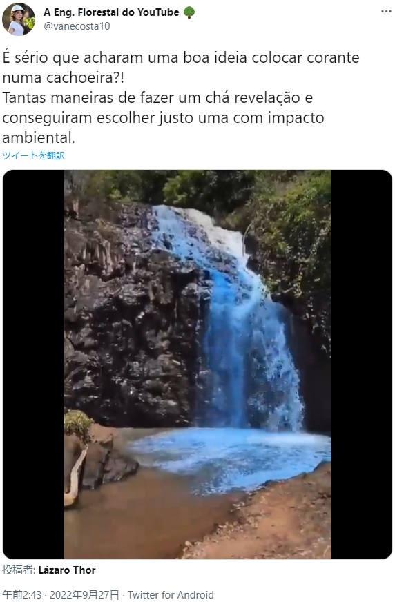 青く染まった滝（画像は『A Eng. Florestal do YouTube　2022年9月26日付Twitter「É sério que acharam uma boa ideia colocar corante numa cachoeira?!」』のスクリーンショット）