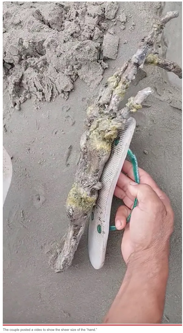 人間の手よりも大きな謎の物体（画像は『New York Post　2022年11月24日付「Shocked couple discovers ‘alien hand’ on beach: ‘Looks like ET’s bones!’」（Jam Press/Leticia Gomes Santiago）』のスクリーンショット）