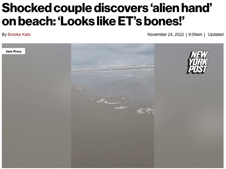 カップルが浜辺で謎の物体を発見（画像は『New York Post　2022年11月24日付「Shocked couple discovers ‘alien hand’ on beach: ‘Looks like ET’s bones!’」（Jam Press）』のスクリーンショット）