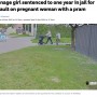 【海外発！Breaking News】ベビーカーに子供を乗せて散歩していた妊婦、15歳少女に突然攻撃される（豪）＜動画あり＞