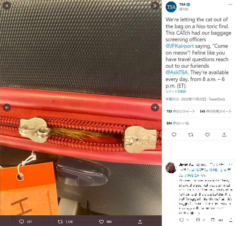 ファスナーからはフサフサとした毛が覗いていた（画像は『TSA　2022年11月23日付Twitter「We’re letting the cat out of the bag on a hiss-toric find.」』のスクリーンショット）