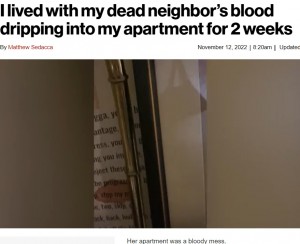 壁に飾ってあったアート作品にも赤いシミが（画像は『New York Post　2022年11月12日付「I lived with my dead neighbor’s blood dripping into my apartment for 2 weeks」』のスクリーンショット）