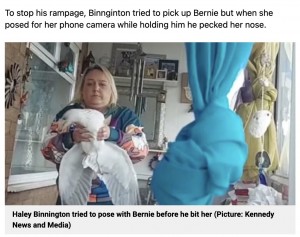 それでも「バーニーは私の親友」とヘイリーさん（画像は『Metro　2022年11月10日付「Seagull trashes woman’s home after she let it in to try and befriend it」（Picture: Kennedy News and Media）』のスクリーンショット）