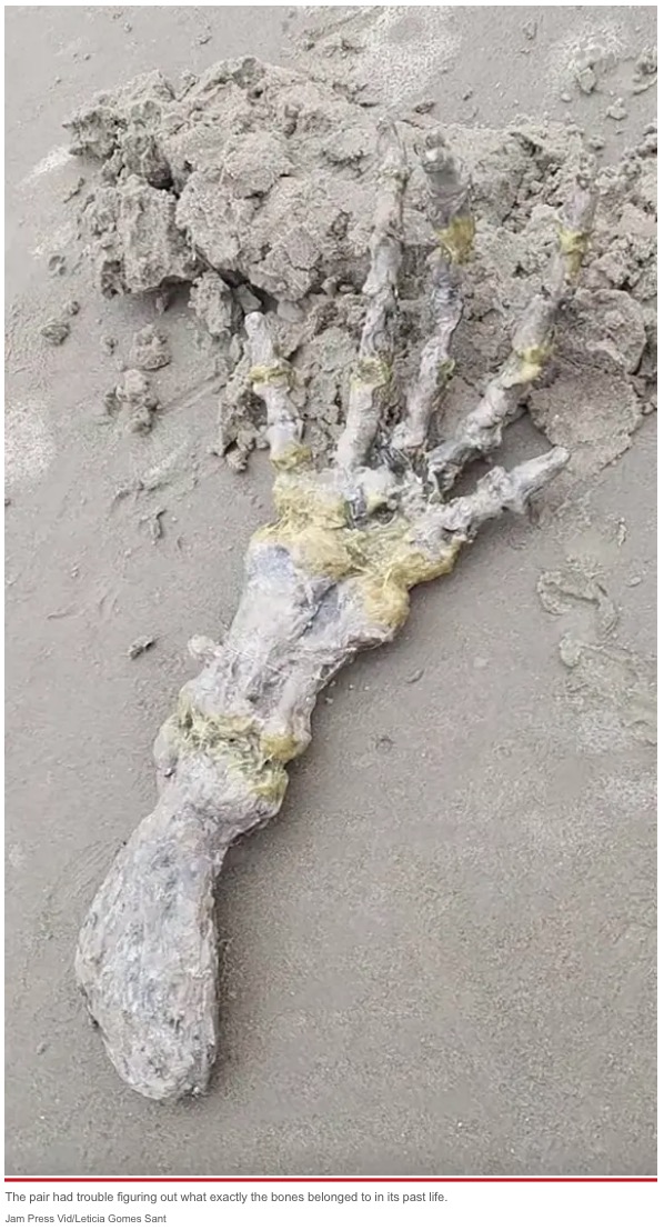 まるでエイリアンの手？（画像は『New York Post　2022年11月24日付「Shocked couple discovers ‘alien hand’ on beach: ‘Looks like ET’s bones!’」（Jam Press/Leticia Gomes Santiago）』のスクリーンショット）