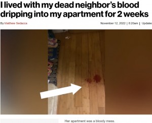 犬の散歩から戻ると床に赤い液体が！（画像は『New York Post　2022年11月12日付「I lived with my dead neighbor’s blood dripping into my apartment for 2 weeks」』のスクリーンショット）
