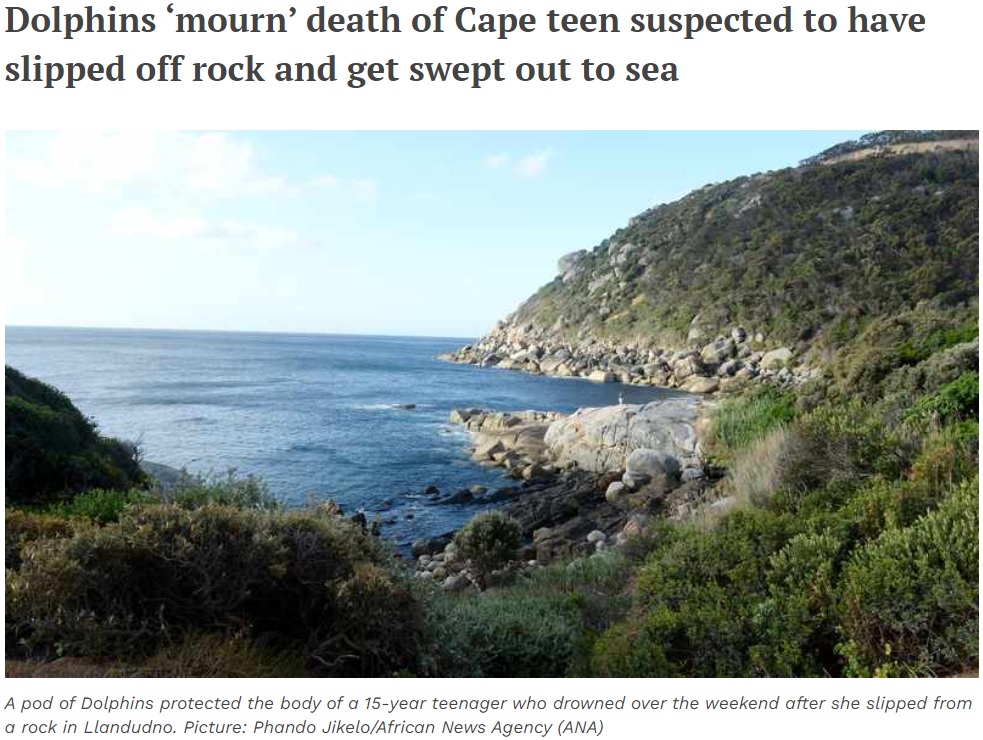 少女が転落したと見られる岩場（画像は『IOL　2022年10月31日付「Dolphins ‘mourn’ death of Cape teen suspected to have slipped off rock and get swept out to sea」（Picture: Phando Jikelo/African News Agency（ANA））』のスクリーンショット）