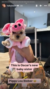 子ぶたの衣装を着た子犬のピギー・ルー（画像は『Hailey Rhode Baldwin Bieber　2022年11月1日付Instagram』のスクリーンショット）