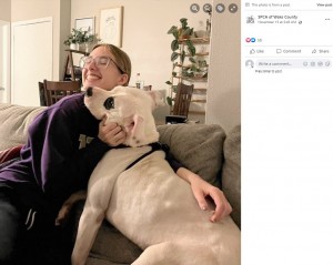 甘えるピーティ（画像は『SPCA of Wake County　2022年11月15日付Facebook「This adoption update just melted our hearts!」』のスクリーンショット）