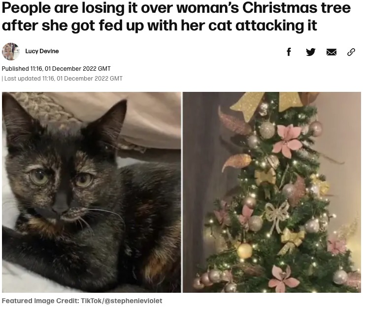 クリスマスツリーにいたずらした猫（画像は『Tyla　2022年12月1日付「People are losing it over woman’s Christmas tree after she got fed up with her cat attacking it」（Credit: TikTok/＠stephenieviolet）』のスクリーンショット）
