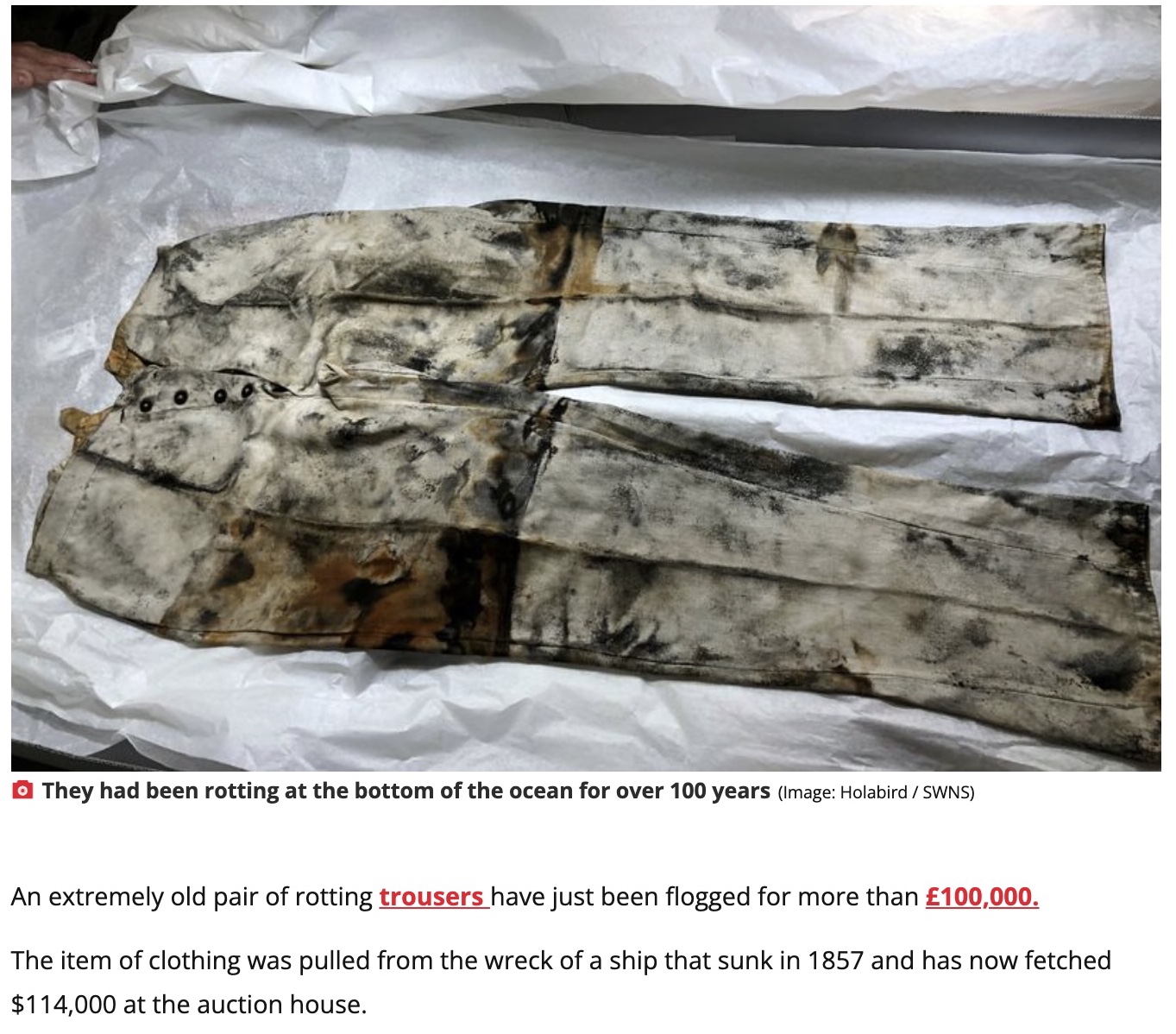 約1530万円で落札された156年前のジーンズ（画像は『The Daily Star　2022年12月17日付「156-year-old rotting jeans salvaged in shipwreck sold at auction for more than ￡100k」（Image: Holabird / SWNS）』のスクリーンショット）