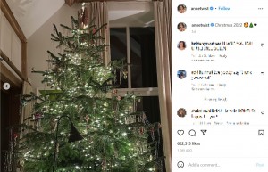 アンさんの自宅に飾られた巨大なクリスマスツリー（画像は『Anne Twist　2022年12月28日付Instagram「Christmas 2022」』のスクリーンショット）