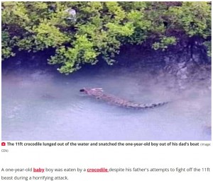 1歳男児をくわえたままのワニ（画像は『The Daily Star　2022年12月3日付「Baby eaten alive by 11ft crocodile that snatched tot from dad’s canoe」（Image: CEN）』のスクリーンショット）