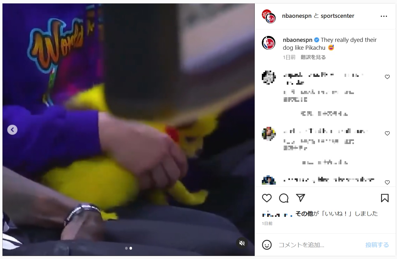 爪先まで黄色に染められた犬（画像は『NBA on ESPN　2022年12月26日付Instagram「They really dyed their dog like Pikachu」』のスクリーンショット）