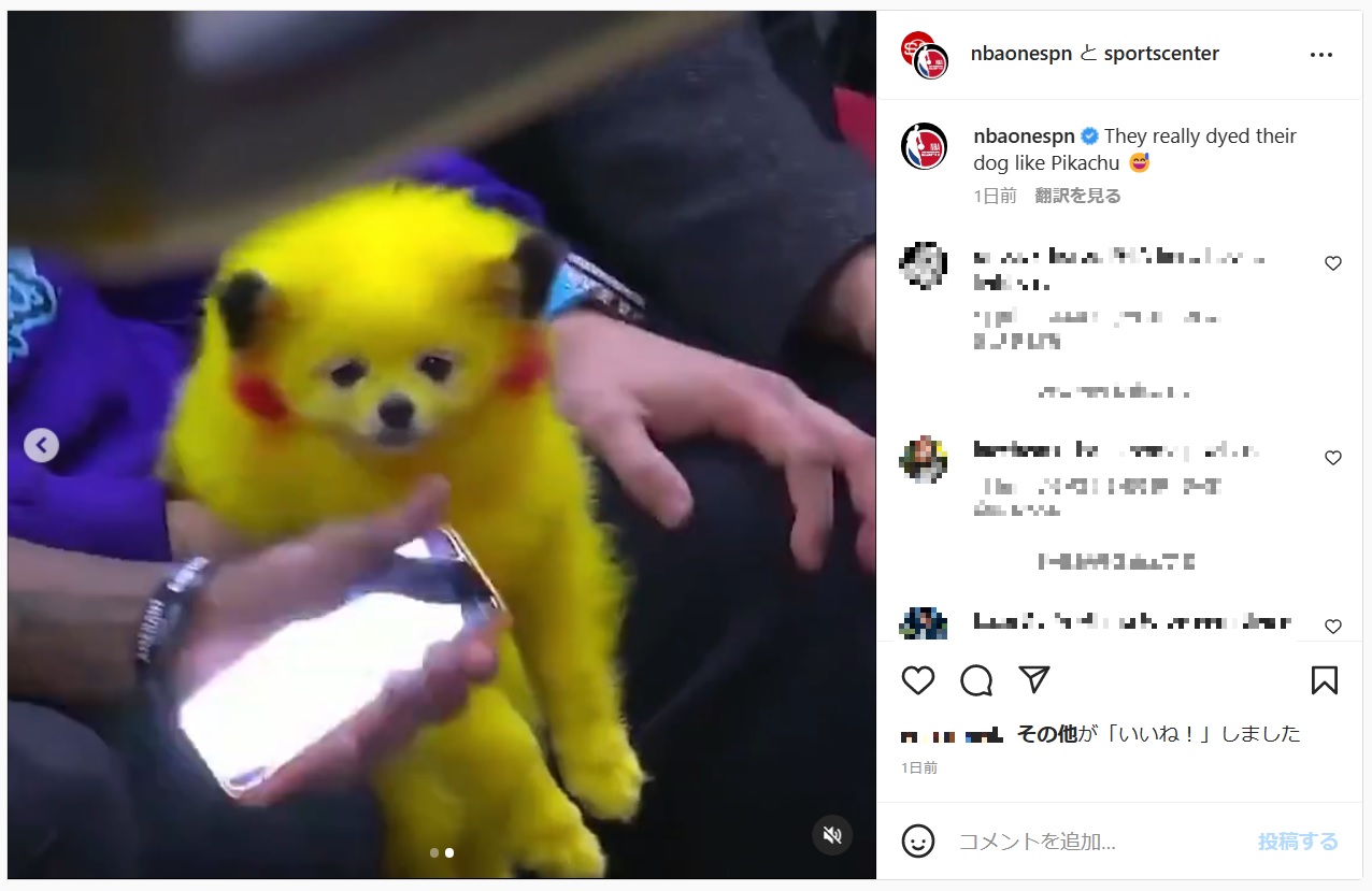 ピカチュウのように染められた犬（画像は『NBA on ESPN　2022年12月26日付Instagram「They really dyed their dog like Pikachu」』のスクリーンショット）