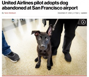 【海外発！Breaking News】入国できず空港で飼い主に捨てられた子犬　航空会社スタッフの懸命な働きかけで安楽死を逃れる（米）