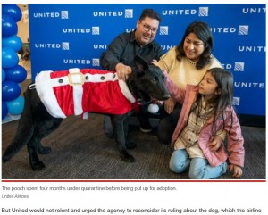 4か月の隔離期間を終え、無事に新しい飼い主が見つかった（画像は『New York Post　2022年12月27日付「United Airlines pilot adopts dog abandoned at San Francisco airport」（United Airlines）』のスクリーンショット）