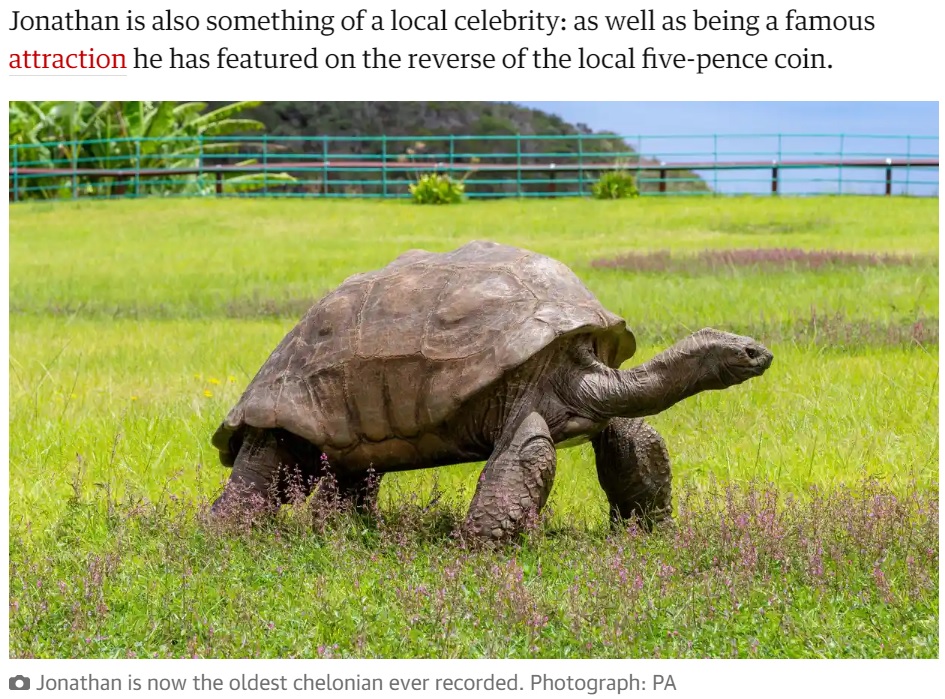 推定190歳を迎えたゾウガメ（画像は『The Guardian　2022年12月2日付「World’s oldest recorded tortoise prepares for 190th birthday party」（Photograph: PA）』のスクリーンショット）