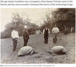 1880年代に撮影されたジョナサン（画像は『The Guardian　2022年12月2日付「World’s oldest recorded tortoise prepares for 190th birthday party」（Photograph: PA）』のスクリーンショット）