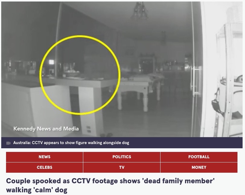 犬を追うようにして部屋を歩き回る白い人影（画像は『The Mirror　2023年1月19日付「Couple spooked as CCTV footage shows ‘dead family member’ walking ‘calm’ dog」（Image: Kennedy News and Media）』のスクリーンショット）
